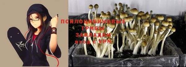 ешки Армянск