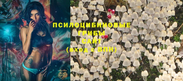 стаф Аркадак