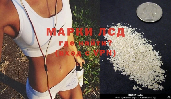 стаф Аркадак