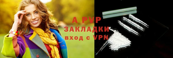 стаф Аркадак