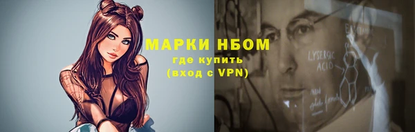 стаф Аркадак