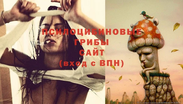 герыч Арсеньев