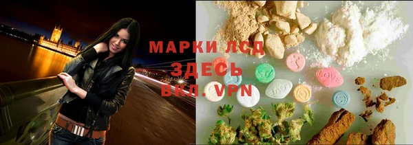 герыч Арсеньев