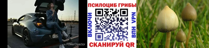 Псилоцибиновые грибы GOLDEN TEACHER  наркотики  Нижний Новгород 